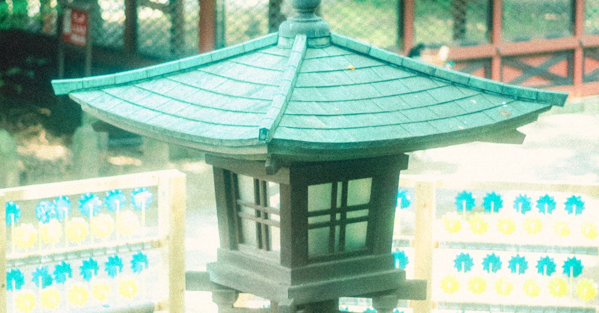 Creating Focal Points with Plants and Hardscape Elements