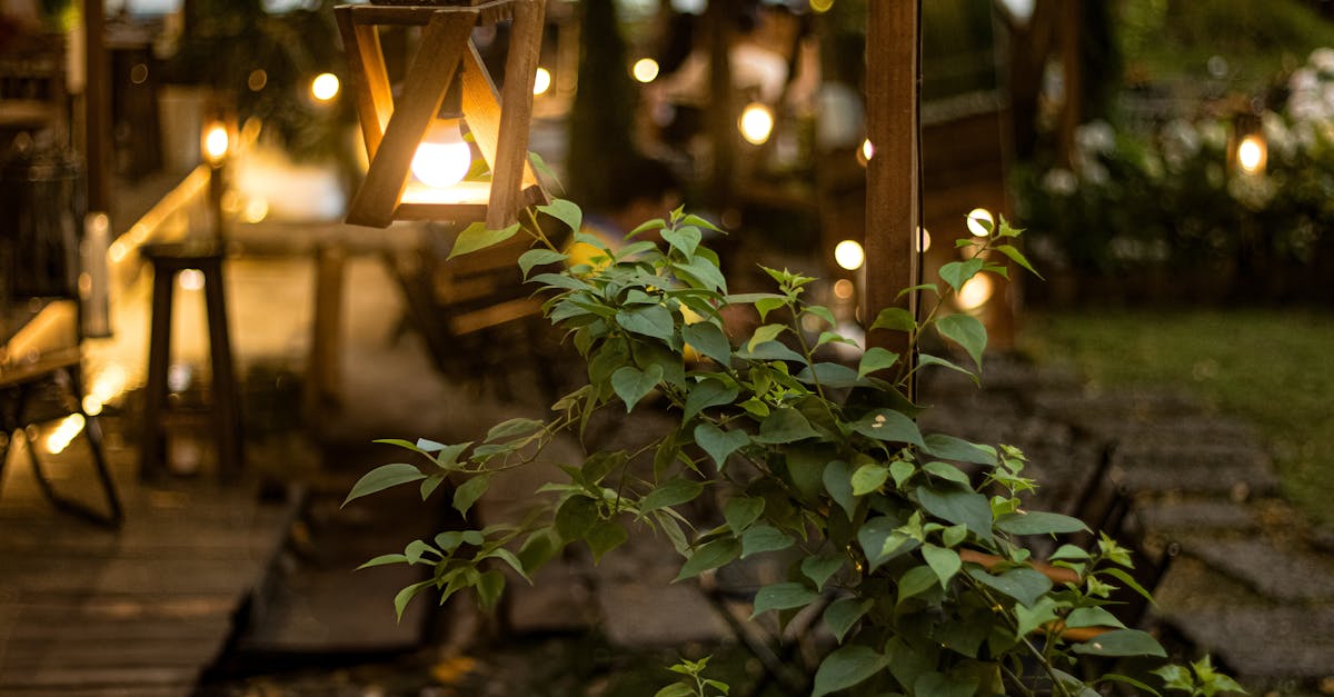 Creating Seamless Flow in Garden Design