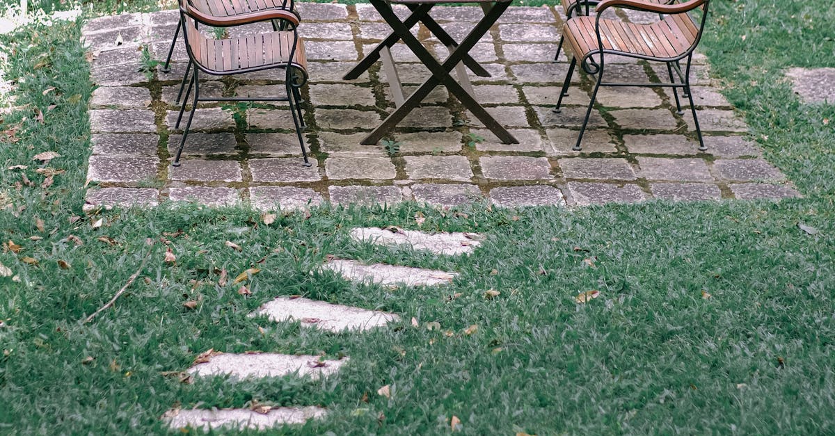 Emphasizing Focal Elements in Different Seasons