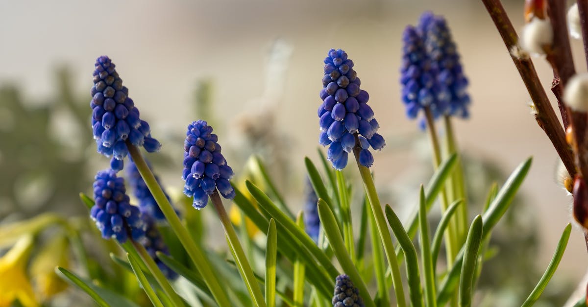 Enhancing Unity and Harmony through Focal Points in Landscaping