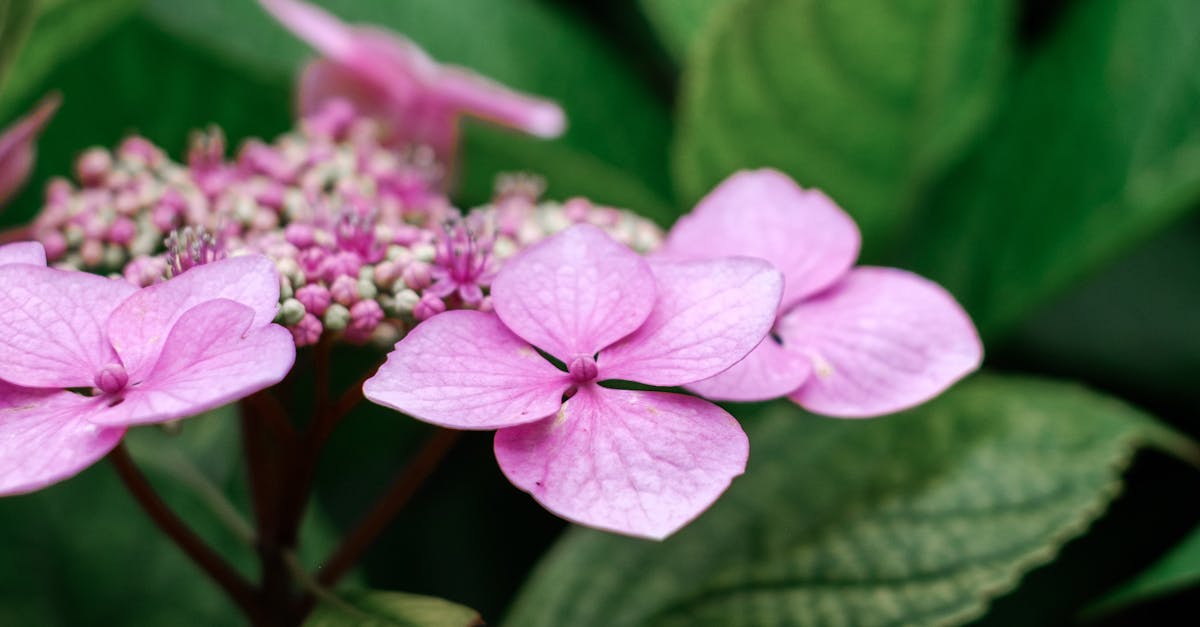 Importance of Smooth Transitions in Landscape Design