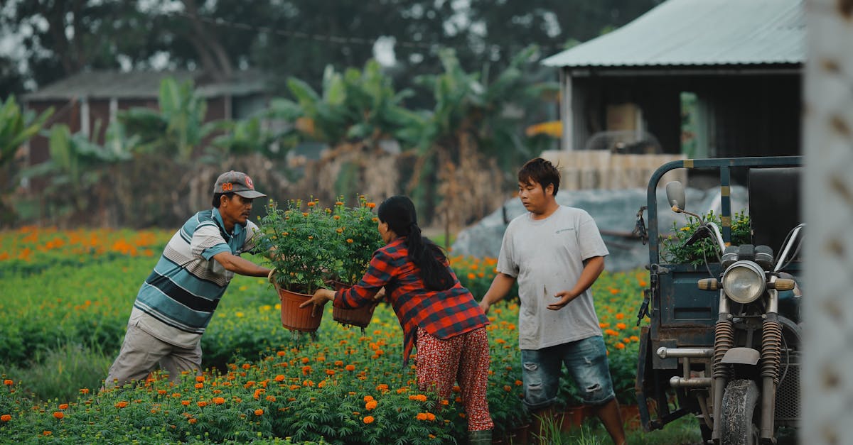 Proportion and Scale: Enhancing Spatial Relationships in Garden Layout