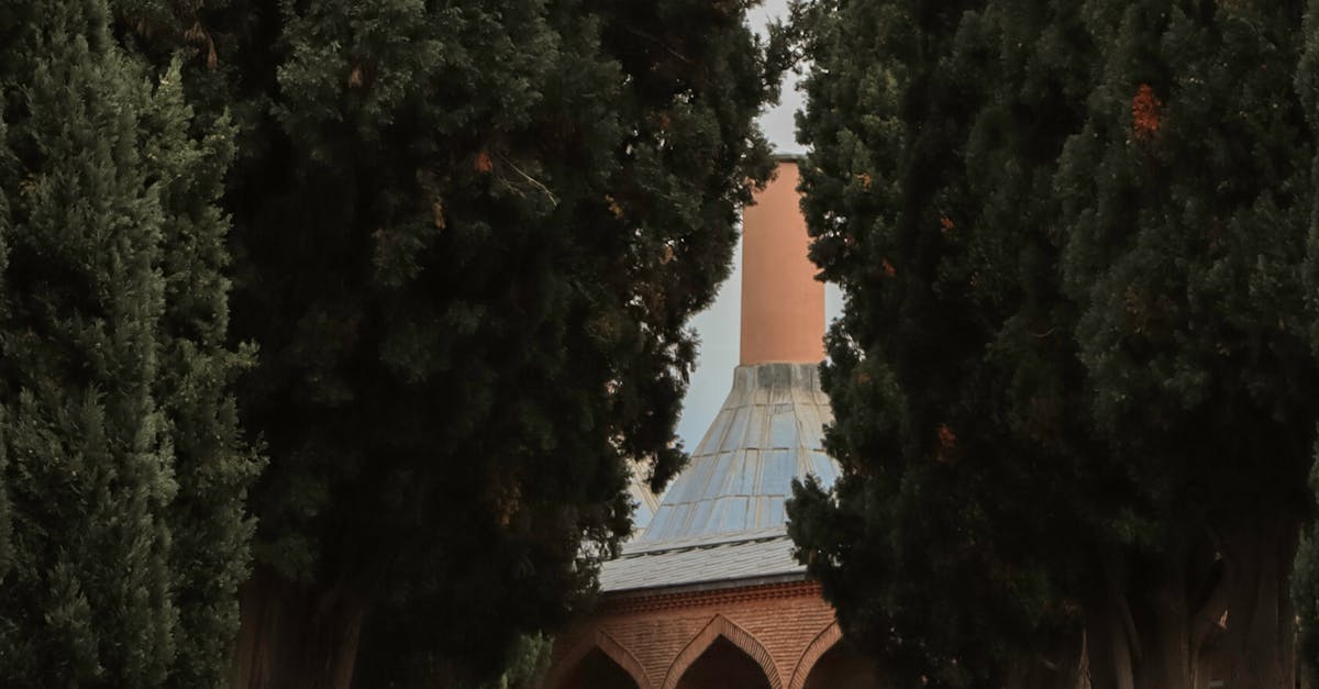 Proportion and Scale: Key Elements of Harmonious Garden Design