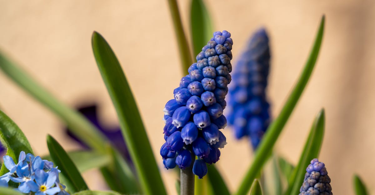 Understanding the Role of Proportion and Scale in Landscape Composition